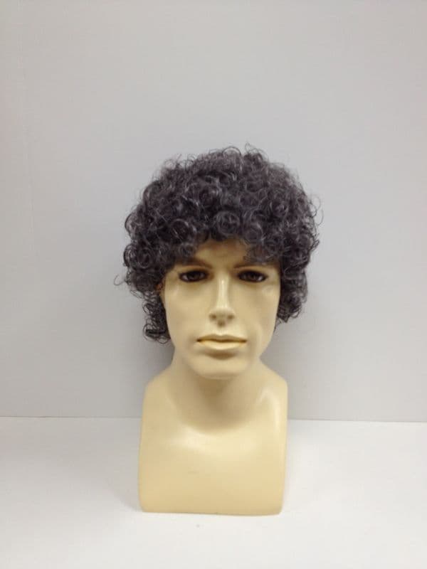 Silver Fox wig