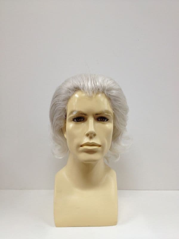 Silver Chancellor wig