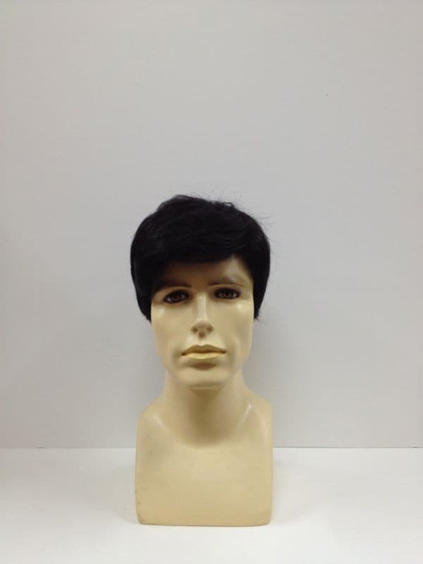 Raven Cut wig
